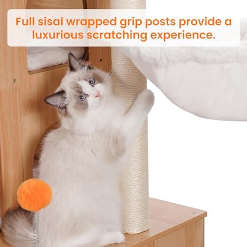 Modern Cat Tree with Litter Box Enclosure for Big Cats