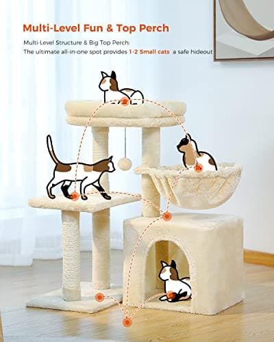 Small Cat Tree with Scratching Posts and Hammock